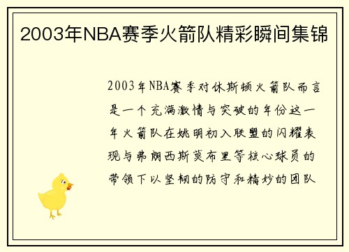 2003年NBA赛季火箭队精彩瞬间集锦